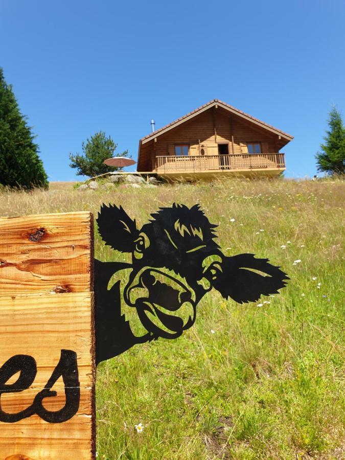 Les Vosgiennes Chalet Le Valtin